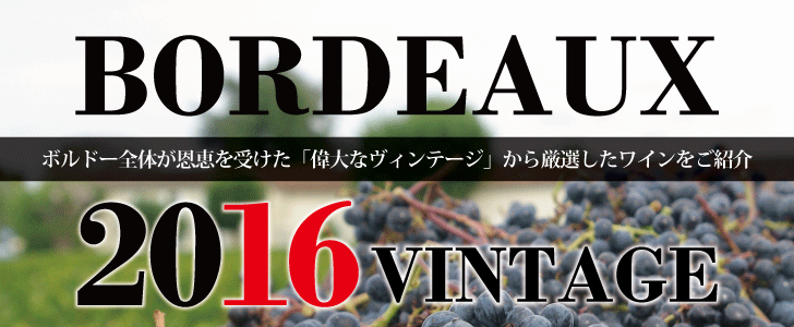 2024年9月おすすめワイン