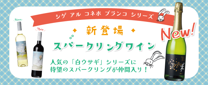 2024年11月おすすめワイン