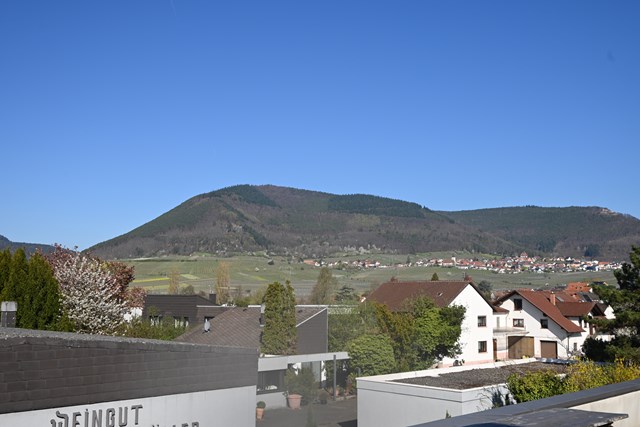 【現地視察レポート】地元密着型でありながら、専門誌でも高い評価を得るその理由とは? “ベルンハルト コッホ”(経営企画室 藤野晃治)