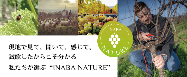 2026年1月のおすすめワイン